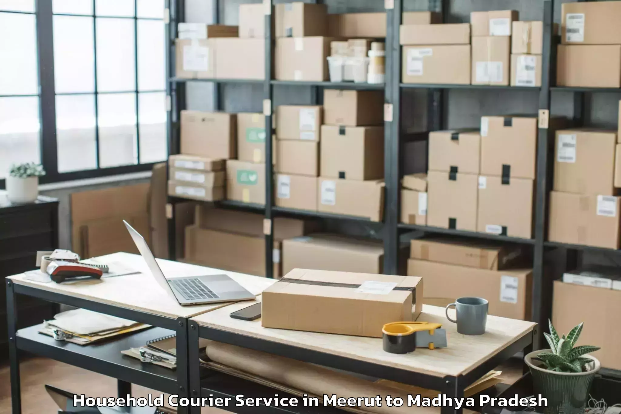 Quality Meerut to Khajuraho Household Courier